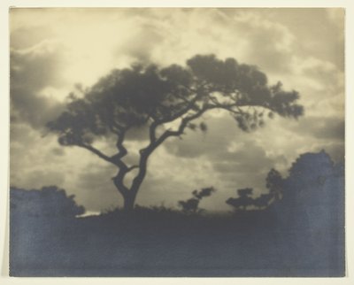 Sem título (Paisagem Nublada com Árvore) de Unknown