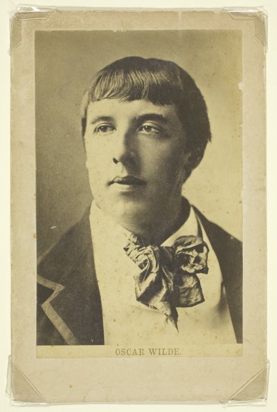 Sem título (Retrato de Oscar Wilde quando jovem) de Unknown