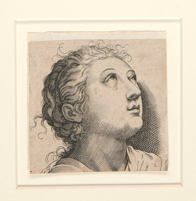 Sem título (mulher a olhar para cima) de Unknown
