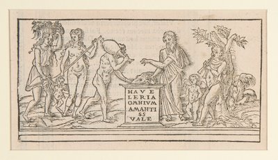 página da cópia depois de Francesco Colonna de Unknown