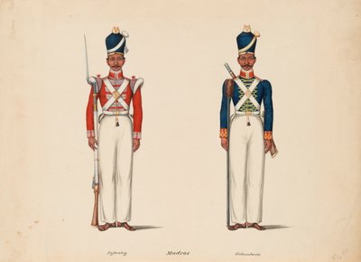 10ª Infantaria Nativa de Madras e a Artilharia de Madras de Unknown artist