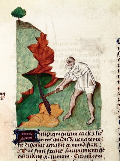 Uma página de ouro do manuscrito "Tratamentos sobre ervas" (Tractatus de herbis) de Pedanius Dioscorides (Dioscorides) (40-90 d.C.) Lat.1152 de Unknown artist