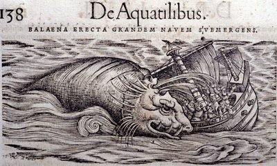 Uma baleia destrói o casco de um barco e provoca o seu afundamento. Engraving n Historia Animalium de Conrad Gesner (1516 - 1565), Tiguri de Unknown artist