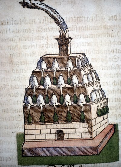 Alquimia: o Quarto Athanor de um livro de Pietro Andrea Mattioli (Matthiole) (1500-1577). Frankfurt de Unknown artist