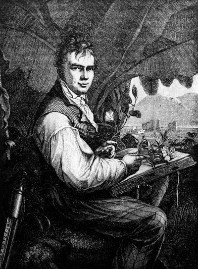 Alexander Von Humboldt (Alexander de Humboldt de Unknown artist