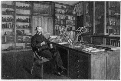 Alphonse Milne Edwards (Milne-Edwards de Unknown artist