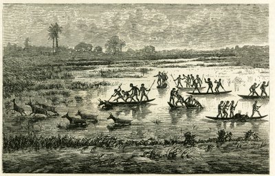 A caça aos antílopes, a caça anual durante a migração, os antílopes abrandados na água do rio são abatidos pelos guerreiros Marutse, que os perseguem em equilíbrio em canoas. Gravura para ilustrar a história "Au pays des Marutses", em 1875-1879, pelo Dr. E de Unknown artist
