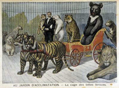 No jardim da aclimatação: a gaiola dos animais ferozes - no "Le Petite Journal" de 02/06/1895 de Unknown artist