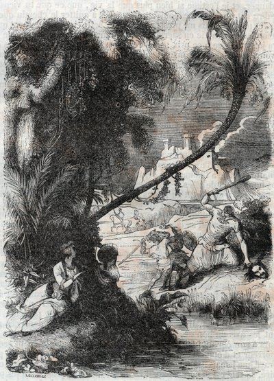 Batalha de Griffon e Aquilant contra Orrile - gravura de 1851 de "Furious Roland" (Orlando furioso) (século XVI) de Ludovico Ariosto, conhecido como Ariosta - Edição traduzida do italiano pelo Conde de Tressan e publicada por Gustave Harvard de Unknown artist
