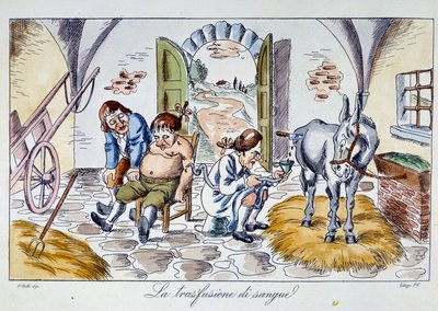 Transfusão de sangue Um médico injecta sangue de cavalo num paciente. Desenho animado da Coleção Privada do século XIX de Unknown artist