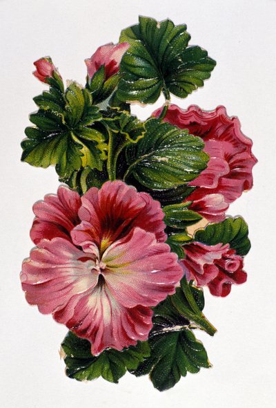 Um ramo de flores. Cromolitografia do século XIX. de Unknown artist