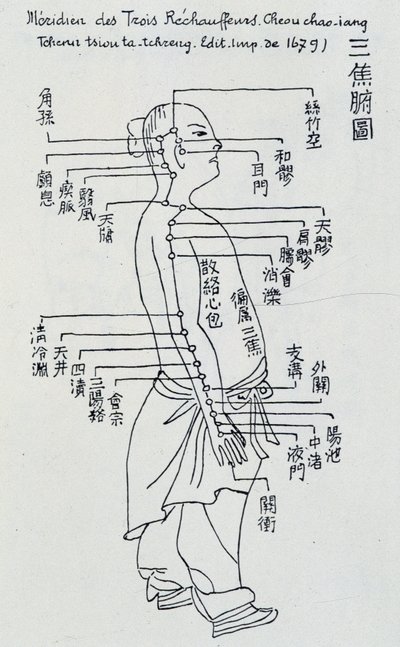 Acupunctura chinesa: o meridiano dos três aquecedores de Unknown artist