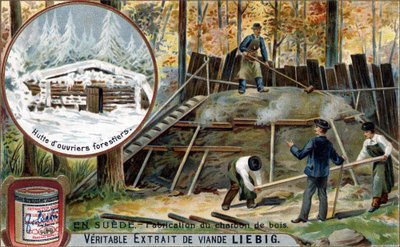 Cromolitografia, imagem de Liebig. de Unknown artist