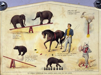 Circo: uma tábua representando diferentes tipos de espectáculos de animais eruditos com elefantes, um bode, um urso, um cavalo e um porco. Ilustração do século XIX de Unknown artist