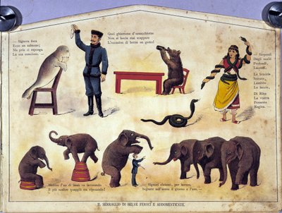 Circo: uma tábua que representa diferentes tipos de espectáculos de animais aprendidos com focas, elefantes, ursos, cobras. Ilustração do século XIX de Unknown artist