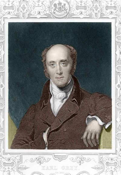 Conde Henry George Grey (1812 - 1898) em 1845. de Unknown artist