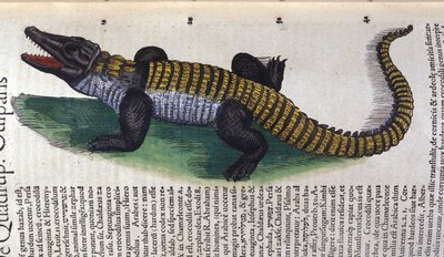 Crocodilo. em Historia Animalium por Conrad Gesner (1516 - 1565), Tiguri de Unknown artist
