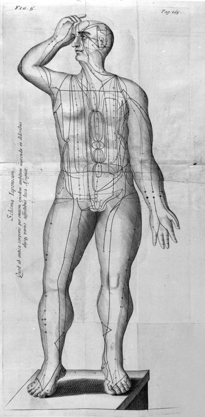 De Acupunctura, de W.Ten Rhijne. Londres, 1683. Primeiro texto ocidental que trata da Acupuntura. de Unknown artist