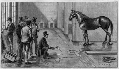 Morte por Electricite: um cavalo mata por electricite durante uma experiência realizada no Laboratório de Edison, Orange (Estados Unidos). Gravura em "La Nature: Revue des sciences et de leurs applications aux arts et a l