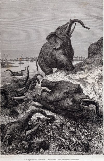 Elefantes escalando a margem de um rio, em virtude de uma expedição à África Central encomendada por Sir Samuel White Baker, "Tour du monde". de Unknown artist