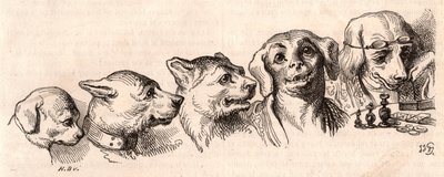 Evolução de um cão para uma forma humana de Unknown