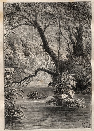 Expedição à América (1799-1804) por Alexander von Humboldt (1769-1859) e Aime Bonpland (1773-1858): os exploradores descem ao Orenoque, rodeados pelas gigantescas árvores da floresta amazônica (Cano Pimichin, Venezuela) - ilustração tirada de "The Great de Unknown artist