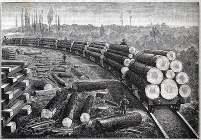 Exploração das florestas dos Estados Unidos. Ferrovias temporárias com trilhos de madeira. Vagões com troncos de árvores. Gravura em "La Nature". de Unknown artist