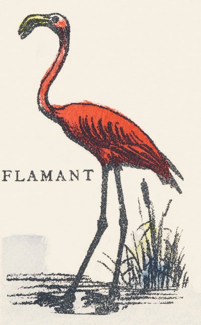 F: flamingo de Unknown artist