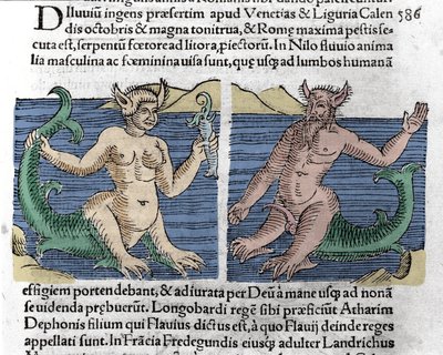 Criaturas fantásticas: Um tritão e uma sirene vistos no Nilo. Gravura de "Le livre des prodiges" (Prodigiorum ac ostentorum Chronicon Basileae) de Wolfhart (Conrad Lycosthene) 1557 de Unknown artist