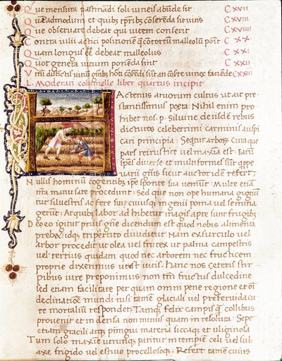 Agricultores plantando vinhedos (miniatura de Unknown artist