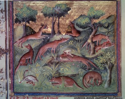 Raposa caçando aves. Miniatura do manuscrito "Le livre de la chasse" (fólio 34v) de Gaston Phoebus (1331-1391) dit Gaston III Comte De Foix de Unknown artist