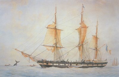 Navio Baleeiro Francês, c.1845 (cor litho) de Unknown artist