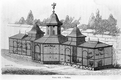 Ave de jardim. Gravação de sd. Século XIX. de Unknown artist