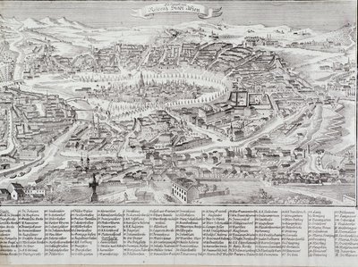Vista geral da cidade de Viena com detalhes dos principais edifícios e monumentos. Gravura Áustria a partir de 1800 Colecção Privada de Unknown artist