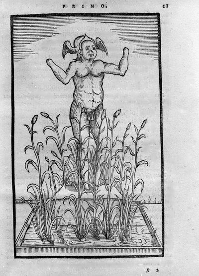 Homme sans bras - in "De Transmutatione Metallica Sogni Tre", de Giovanni Battista Nazari, editado em Brescia em 1599 de Unknown artist