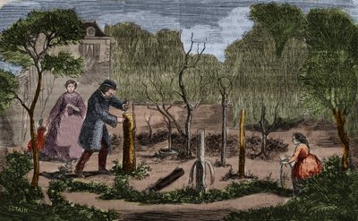 Horticultura: principais métodos de transplante de plantas. Gravura de 1860. de Unknown artist