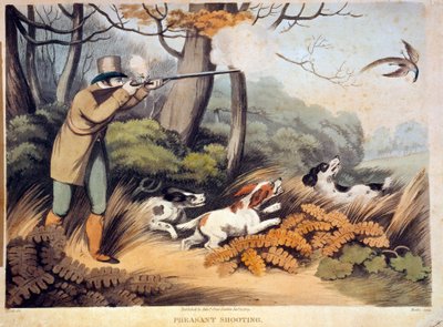 Caça aos faisões em Inglaterra. Gravura do século XIX. Gien, museu da caça. de Unknown artist