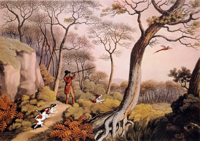 Caça aos faisões em Inglaterra. Gravura do século XIX. Gien, museu da caça. de Unknown artist