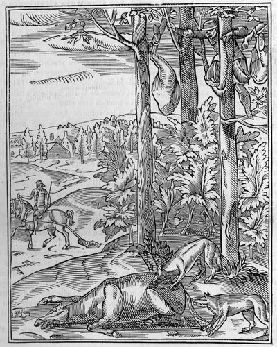 Caçar o lobo: o vigia. Fac-símile (Fac-simile) de uma gravura em madeira do século XVI. Gravura em "La Nature: Revue des sciences et de leurs applications aux arts et a l