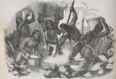 Índios da Ilha de Hispaniola à procura de ouro de Unknown artist