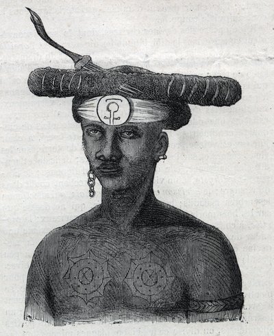 Povo indígena da Nova Guiné (Nova Guiné): habitante das Montanhas Arfaque. Gravura em "L