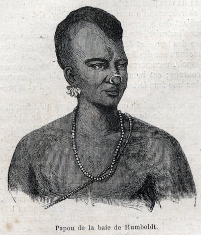 Povo indígena da Nova Guinee: Papua de Humboldt Bay. Gravura em "L
