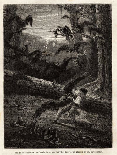 Trabalho (companheiro de viagem do redator), atacado por abutres. Gravura para ilustrar a história Quatre mois en Florida, de M. Pousselgue, em 1851-1852, publicada em "le tour du monde", sob a direção de D