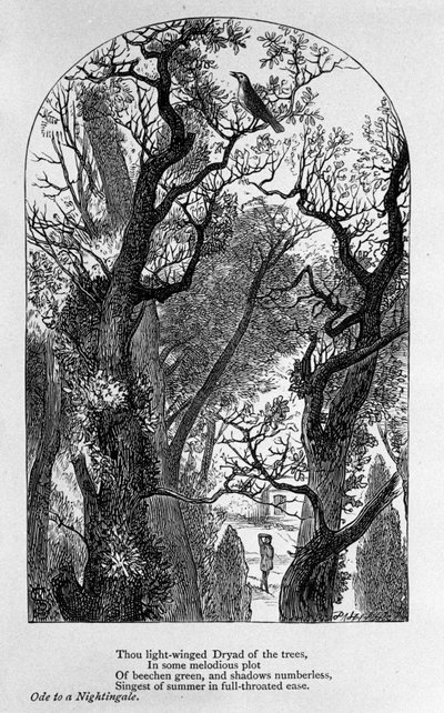 John Keats: Ode a uma casa noturna de Unknown artist