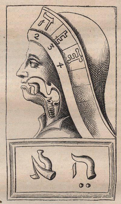 Kabbalah - Kabbalale - Ilustração de: "Alphabeti vere naturalis Hebraici brevissima delineatio" (O Alfabeto da Natureza) de Franciscus Mercurius van Helmont (1618-1699) (François Mercure Van Helmont) - Neste trabalho, van Helmont afirmou que cada letra de Unknown artist