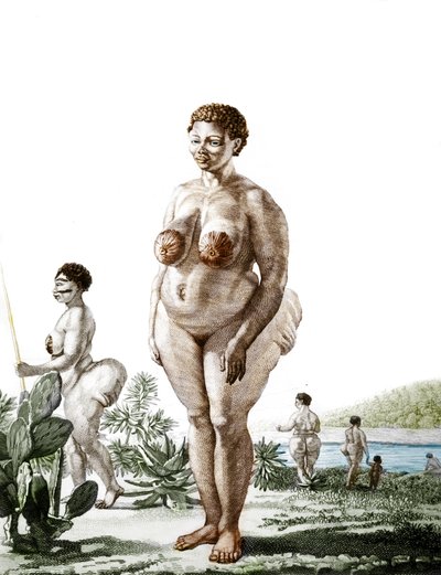 La Venus Hottentote, mulher do grande Bochiman (The Hottentot Venus,) gravura de 1815. de Unknown artist