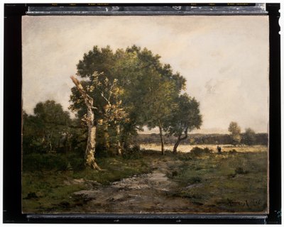 Paisagem, c.século XIX (óleo sobre tela) de Unknown artist