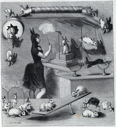 Les coelhos vestidos du Nouveau Cirque em Paris: domador em traje de coelho ensinando os diferentes números ao animal. Gravura em "La Nature" 1890. Coleção particular. de Unknown artist