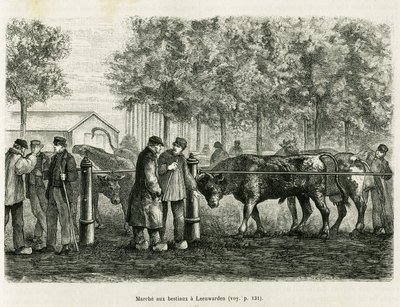Pecuária andando em Leeuwarden (Holanda). Gravura para ilustrar a história La Frise, baseada numa relação de um jornal holandês, em le tour du monde 1886, dirigida por Edouard Charton (1807-1890), Hachette, Paris. de Unknown artist