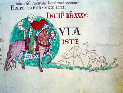 O Senhor tem a caça ao falcão. A miniatura da Idade Média. Manuscrito "Moralia em Jó" da Abadia de Citeaux para Gregoire Papa I de Unknown artist
